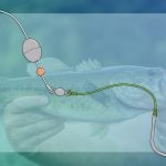Caroline Rig Guide Thumbnail