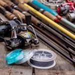 Different Fishing Rod Types
