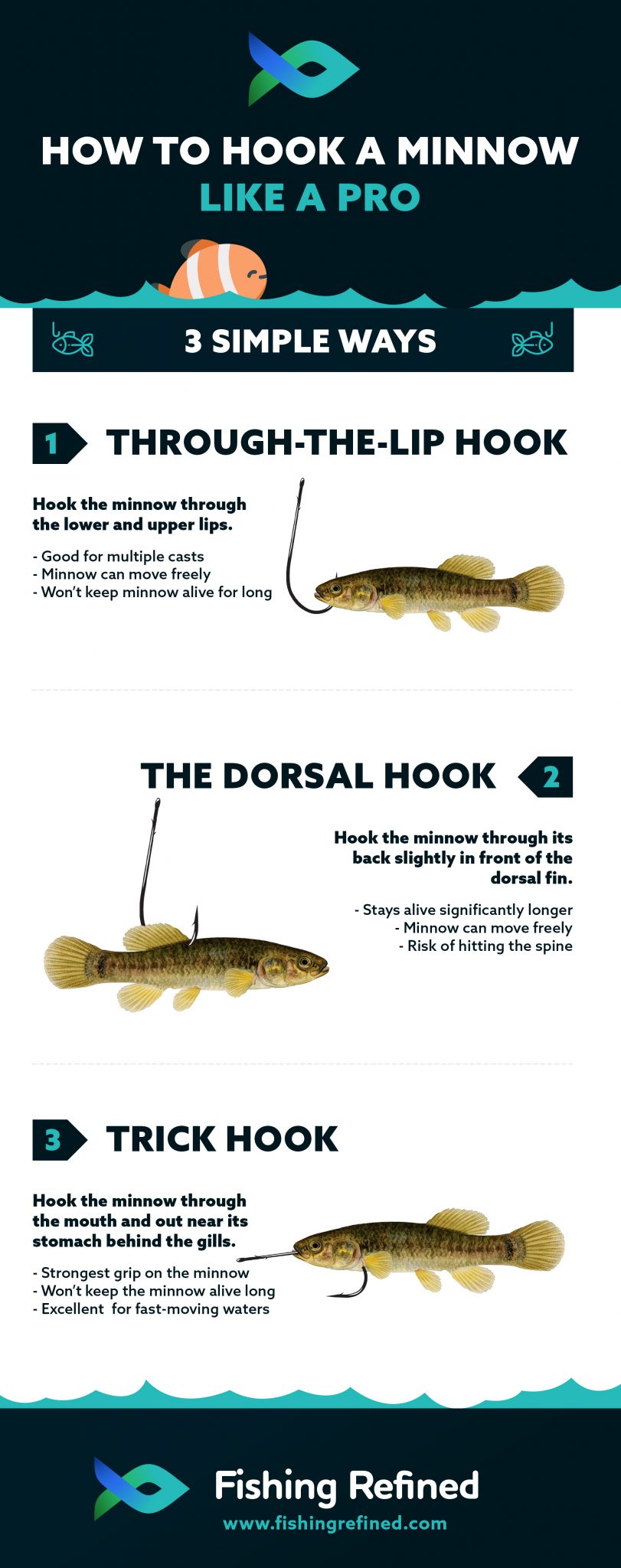How To Hook A Minnow The Right Way 3 Easy Methods