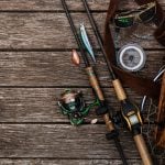 Spinning Vs Casting Rods
