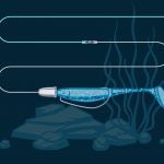 Texas Rig Worming Guide Thumbnail