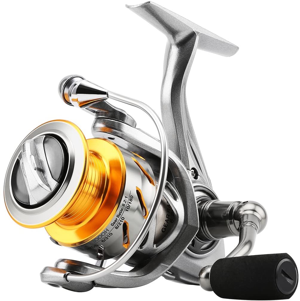 10 Best Surf Fishing Reels (2024 Buying Guide Review)