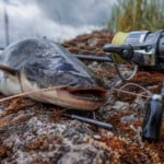 how to catch catfish the ultimate guide featured image