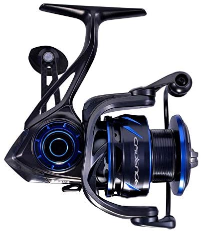 Cadence CS10