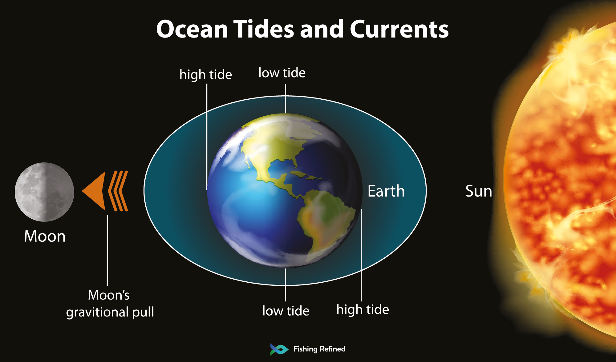 How Moon Phases Ocean Tides Affect Fishing Success